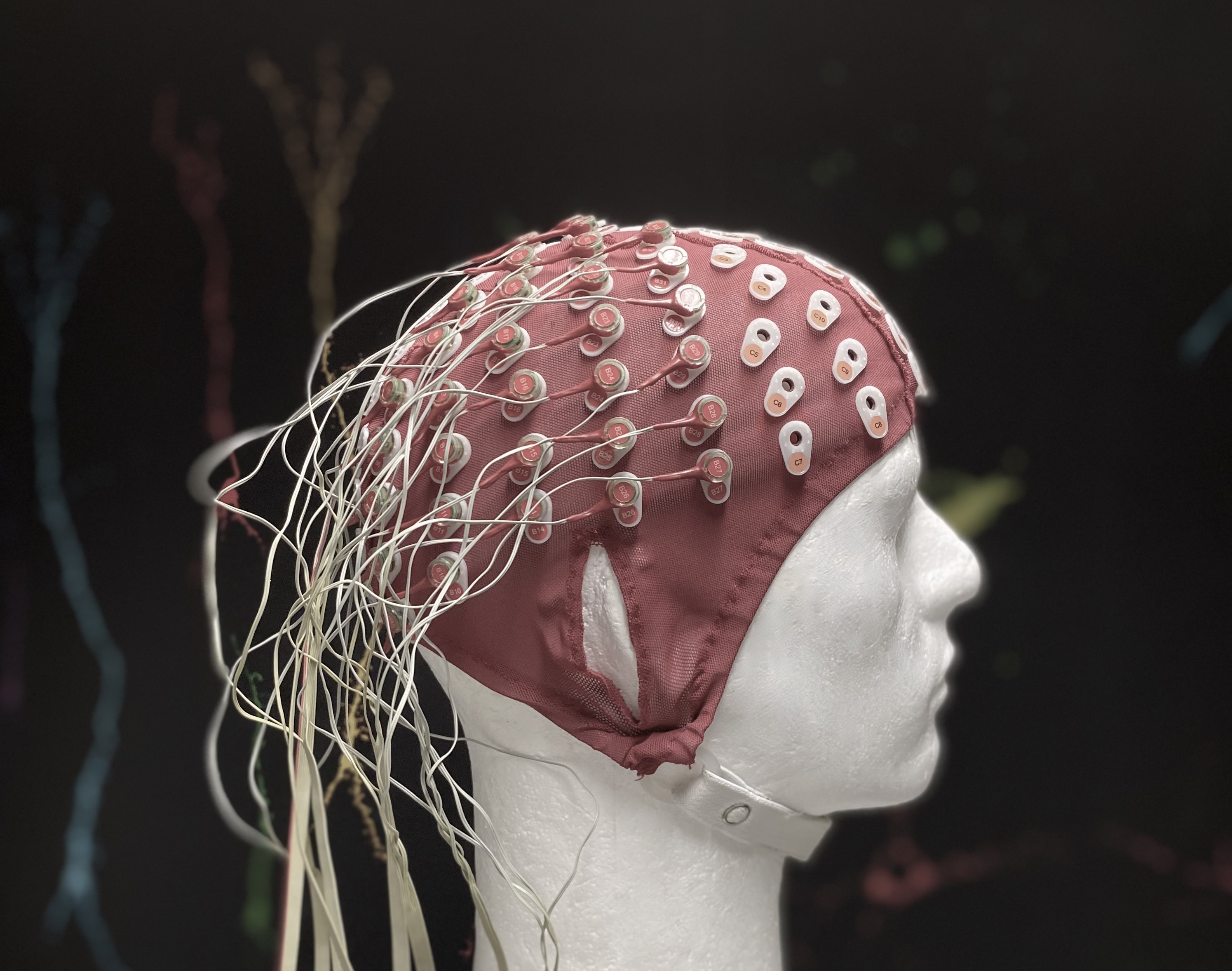 EEG1