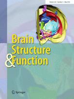 Brain, Structure &  Function